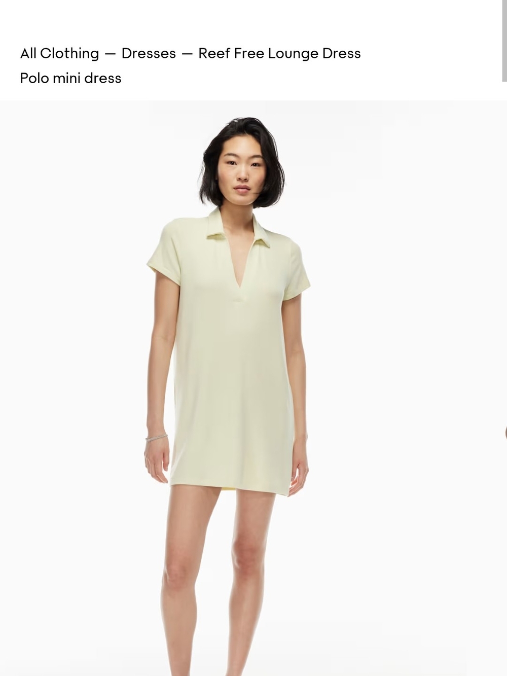 Aritzia Brown Soft Lounge Mini Dress